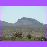 Mountains and Joshua Trees.jpg